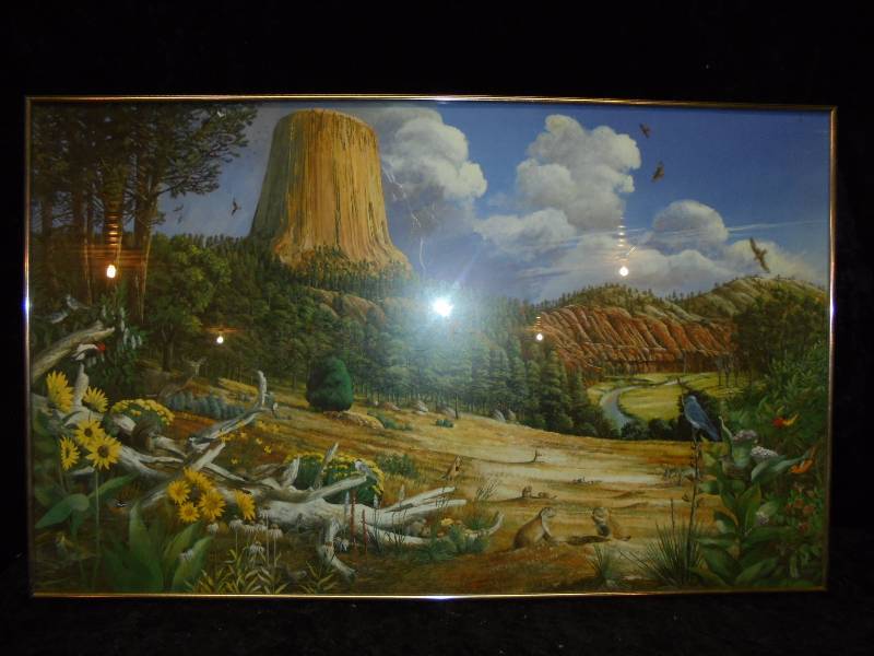 Picture - Devils Tower