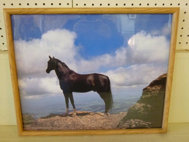 lot 77 image: Picture