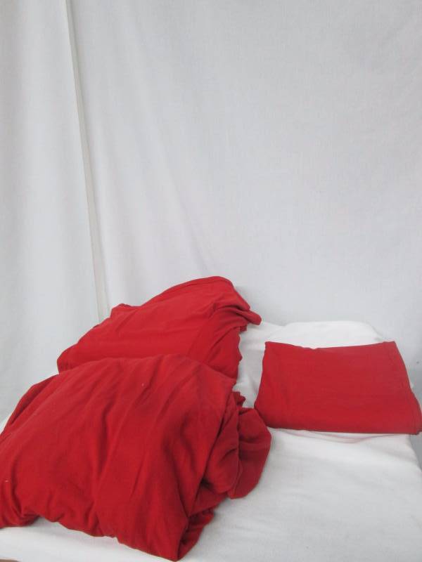 lot 74 image: Alcove Microfiber Flannel Sheet Set - Queen