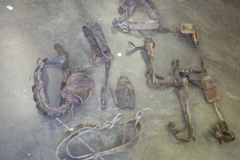 lot 58 image: Vintage Tree Climbing Gear, Leather belts and boot spikes