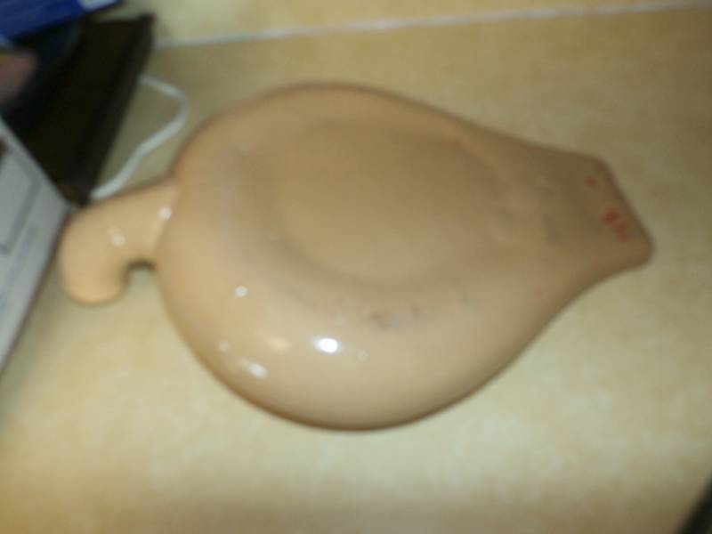 ceramic bed pan