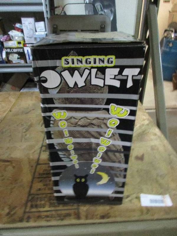 Singing owl