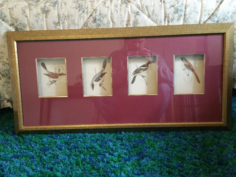 lot 57 image: Bird Artwork Framed and Matted