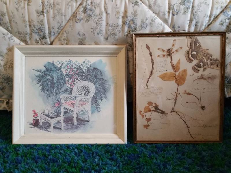 lot 59 image: (2) Wall Art - Dried Butterflies, Etc.