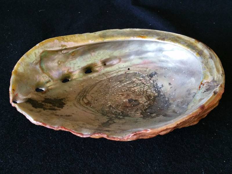 lot 210 image: Large Abalone Mother of Pearl Seashell
