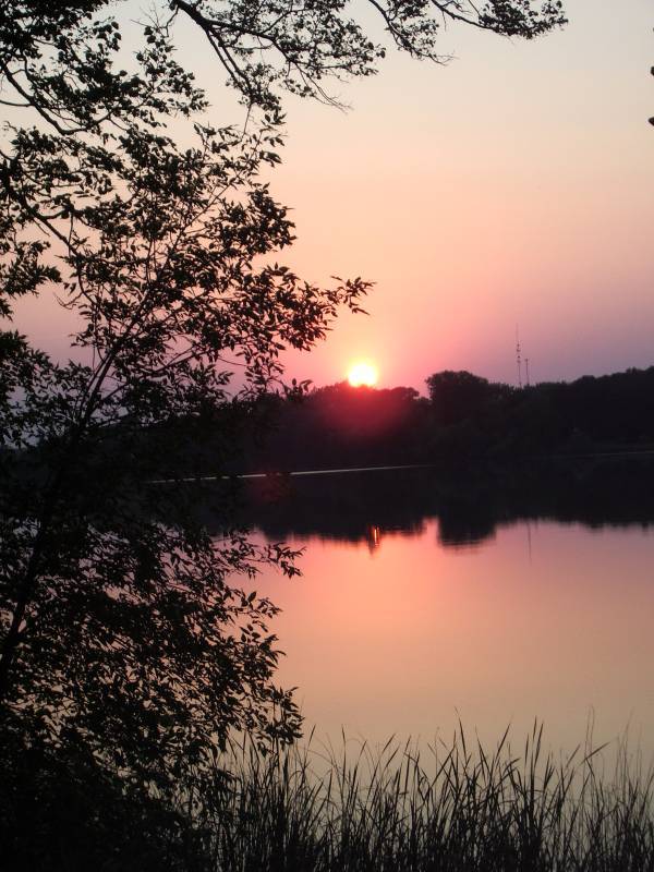 Relax & Recreate On Your Alexandria Area Long Lake Property