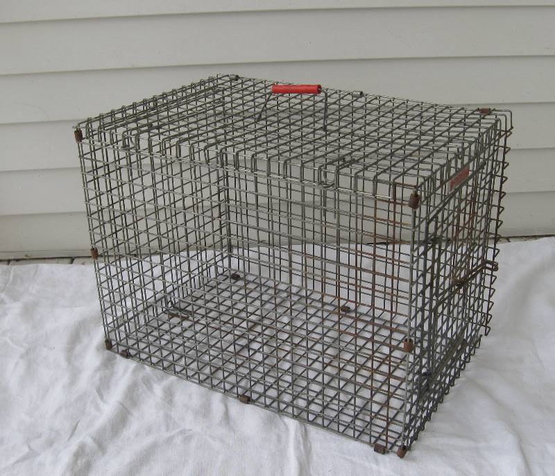 Kennel aire hot sale dog crate