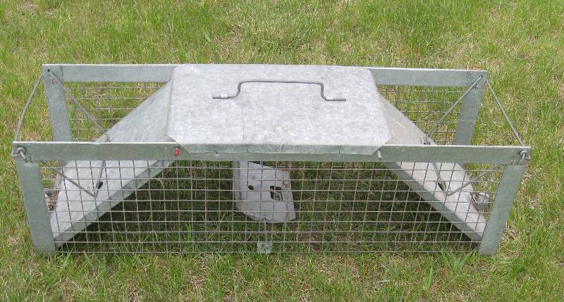 lot 22 image: Large LIve Trap with Weights