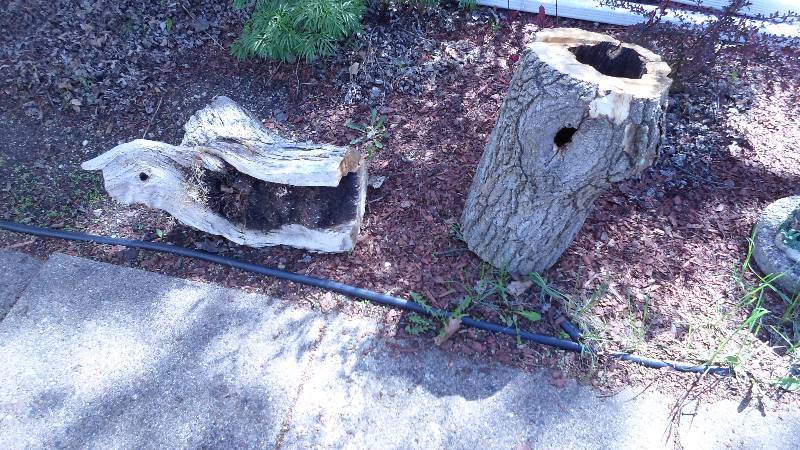 lot 15 image: 2 Natural Log Planters