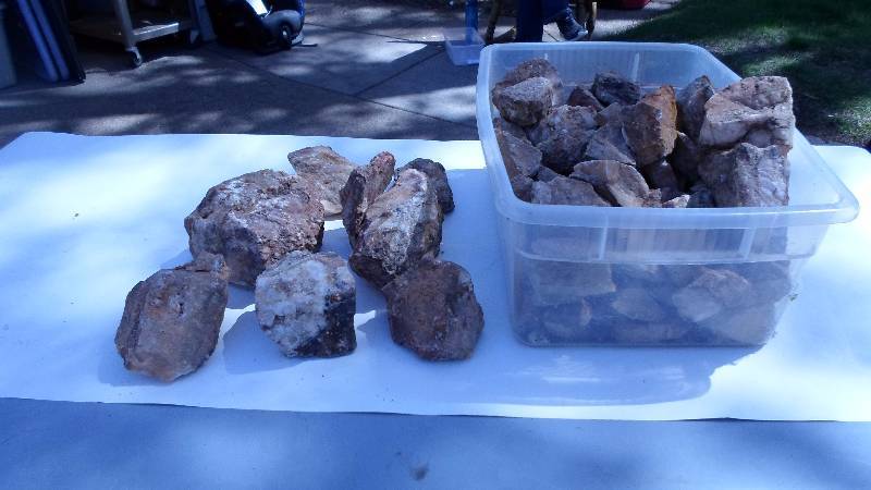 lot 28 image: 40lbs of Nevada Gold Bearing Quartz