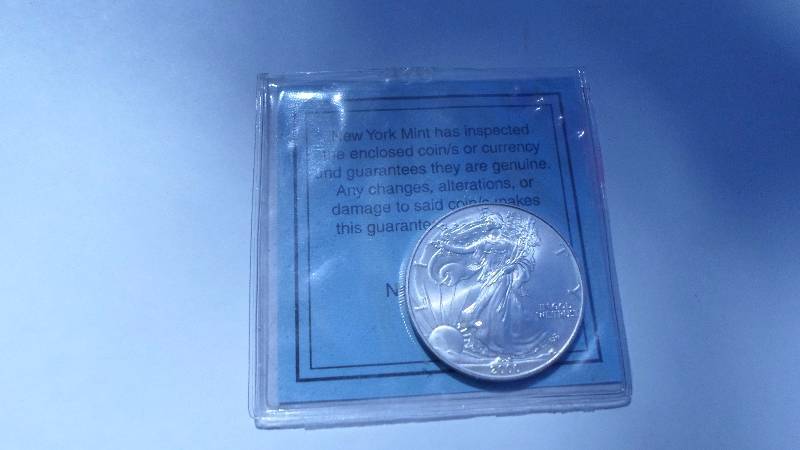 lot 38 image: 1 oz Silver Libery Dollar