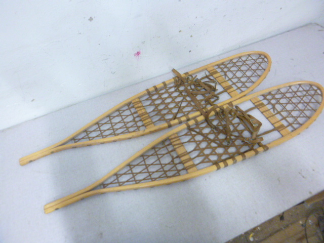 lot 45 image: Snow Shoes