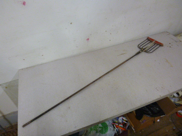 lot 48 image: 7 Tine Spear
