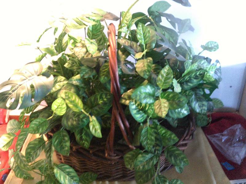 DECRATIVE GREENERY BASKET
