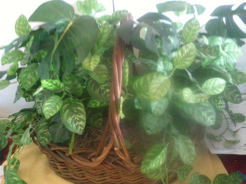 GREENS CENTER PIECE