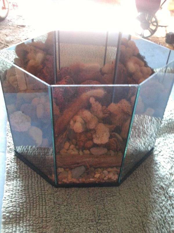 FISH BOWL