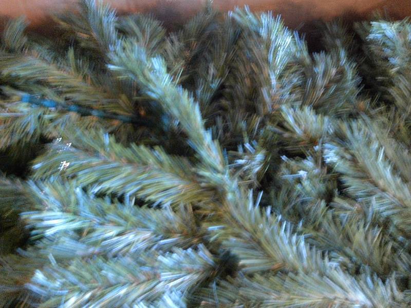 5 to 6 foot christmas tree