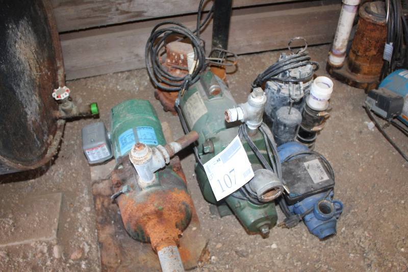 lot 107 image: Lot of (5) Pump Motors Including Myers Franklin Wel-Bilt