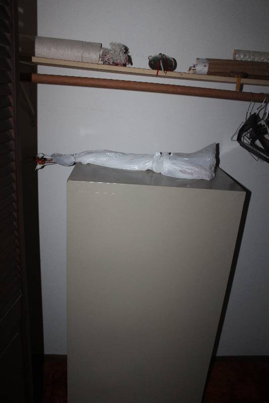 lot 276 image: Contents of Closet Including Filing Cabinet And More