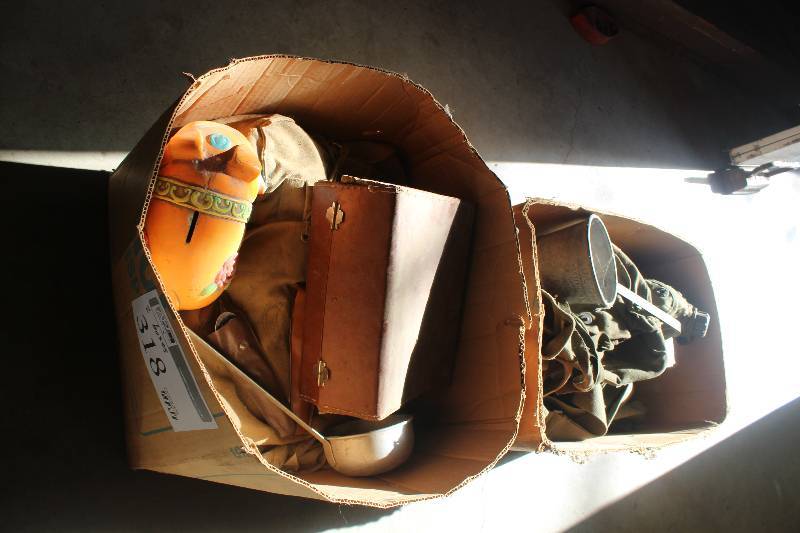 lot 318 image: Lot of (2) Boxes of Hiking Gear