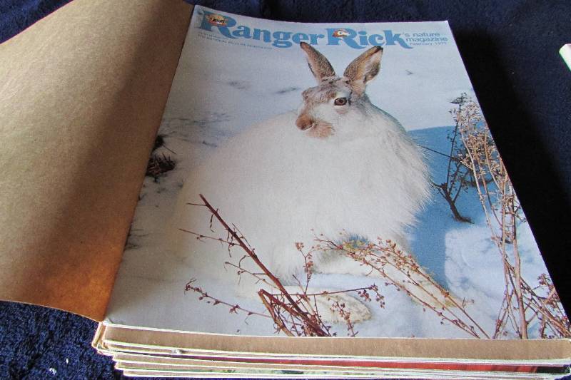 lot 93 image: Ranger Ricks Magazines