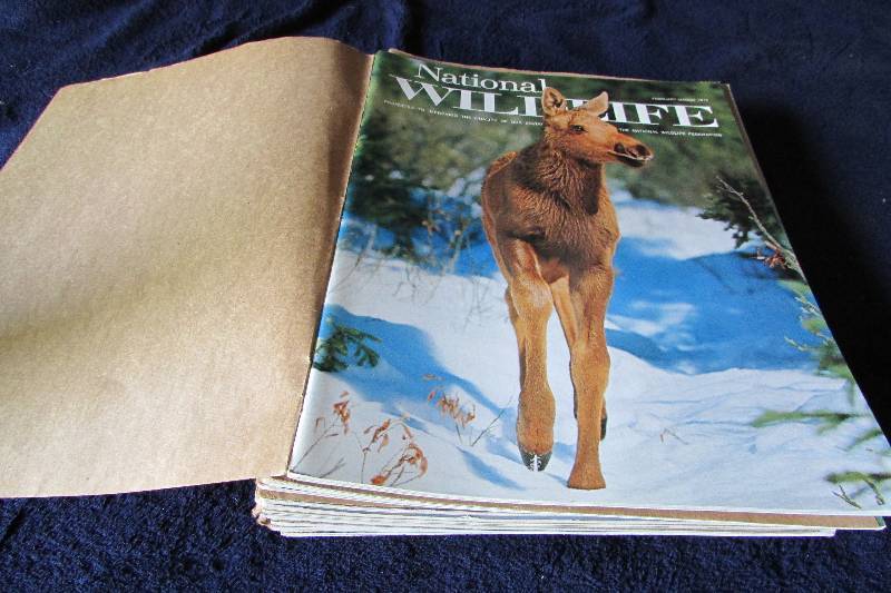 lot 94 image: National Wildlife Magazines