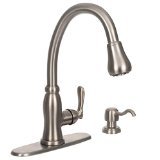lot 85 image: Pegasus 67070-0808D2 Pavilion Single Handle Kitchen Faucet with Soap New