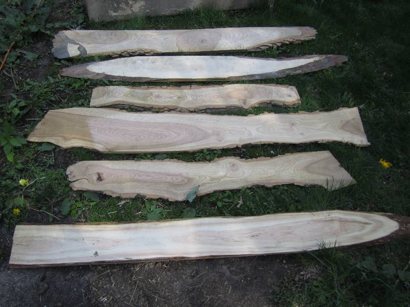lot 100 image: Lot of wood slabs for crafts, most ...