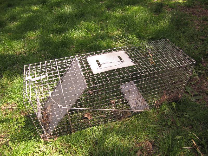 lot 109 image: Animal live trap...