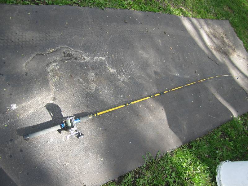 lot 133 image: 8 Eagle Claw rod with Daiwa reel...