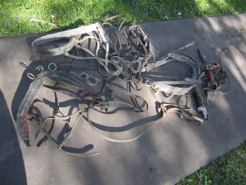 lot 202 image: Lot of horse items...