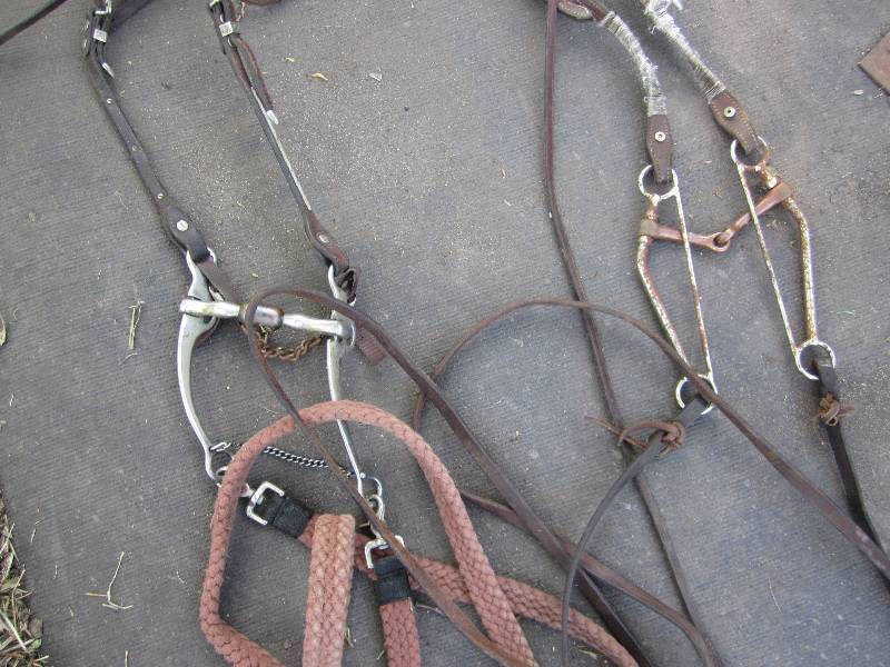 lot 451 image: Lot of horse reigns...