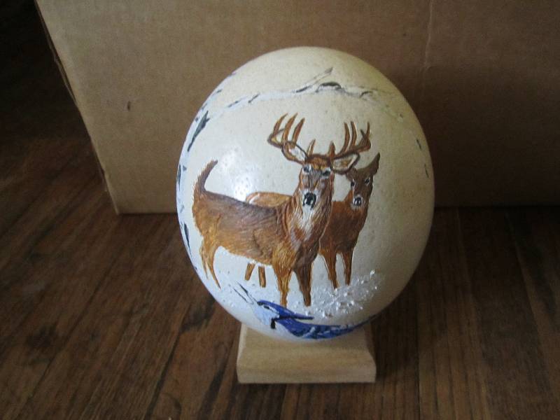 lot 57 image: Locally grown hand painted ostrich ...