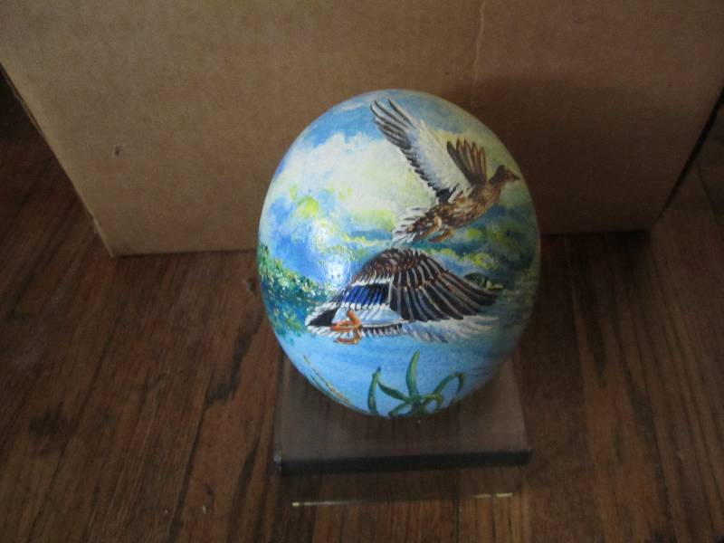 lot 58 image: Locally grown hand painted ostrich ...