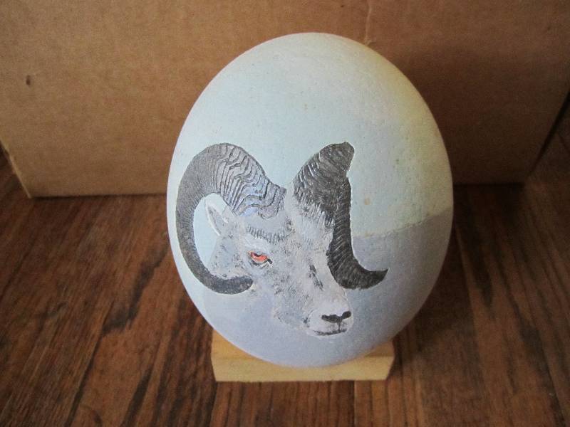 lot 59 image: Locally grown hand painted ostrich ...