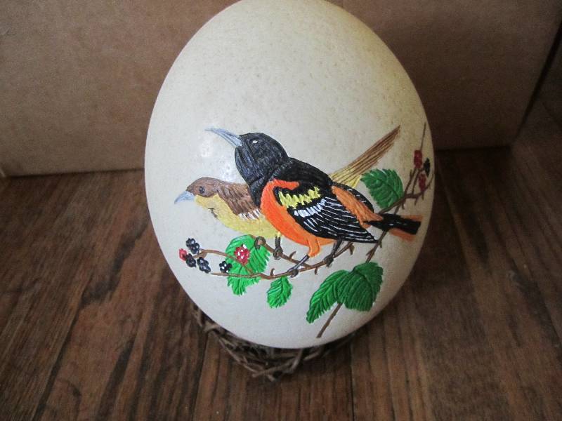 lot 61 image: Locally grown hand painted ostrich ...