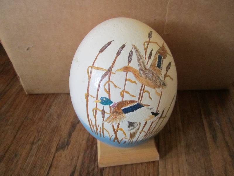 lot 63 image: Locally grown hand painted ostrich ...