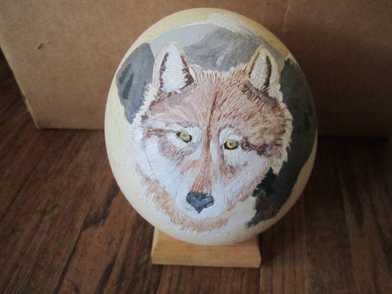 lot 64 image: Locally grown hand painted ostrich ...