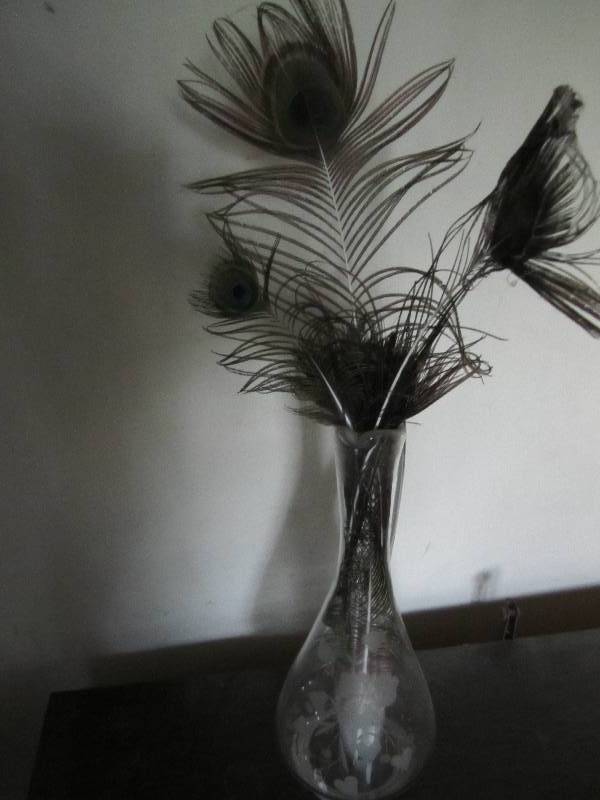 lot 83 image: Peacock feathers in etched glass va...