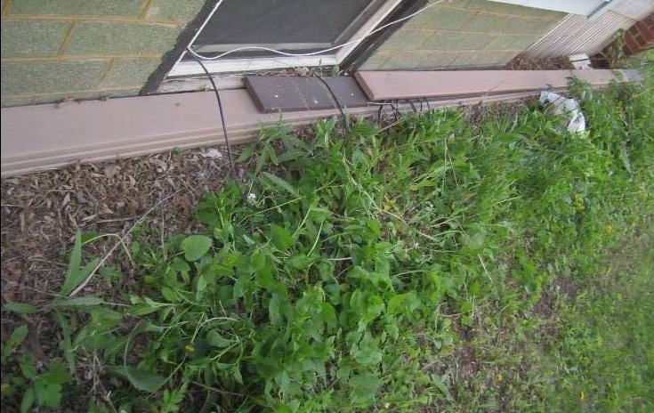 lot 88 image: Lot of 6 solid core composite deck ...