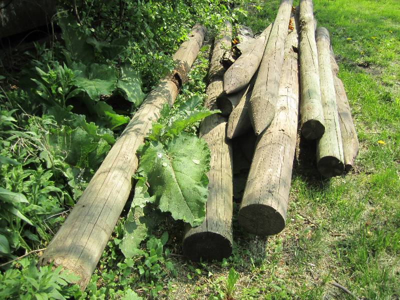 lot 11 image: Lot of fence posts, bid on the whol...