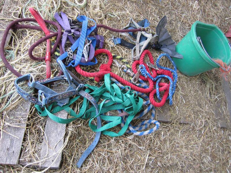 lot 605 image: Lot of horse reigns and tack...