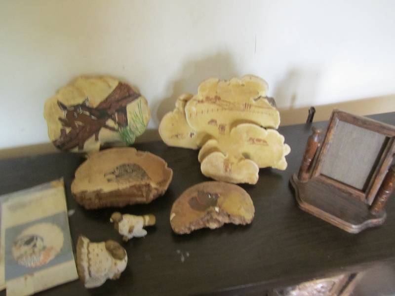 lot 478 image: Art painted on tree mushroom growth...