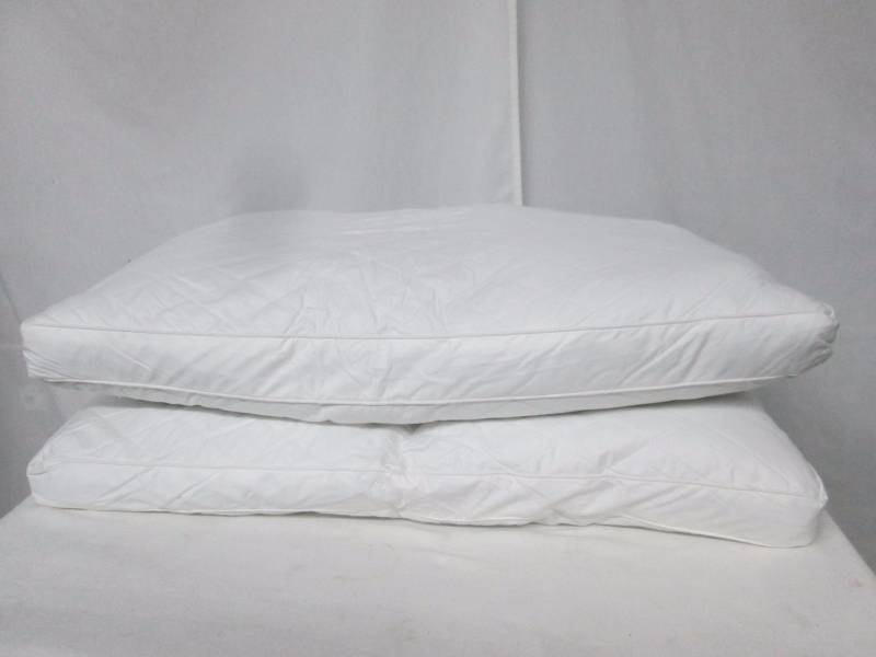 Blue Ridge Home Fashions Feather Pillow 2 Pack