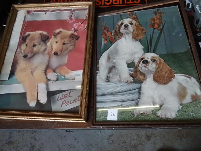 lot 170 image: Pictures