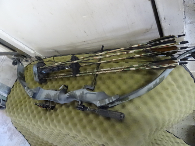 lot 216 image: Compound Bow