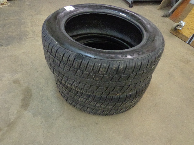Raptor Riken Tires
