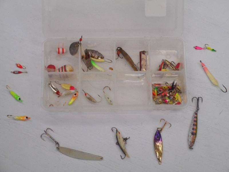 lot 89 image: Plastic Trray Full Of Assorted Fish...