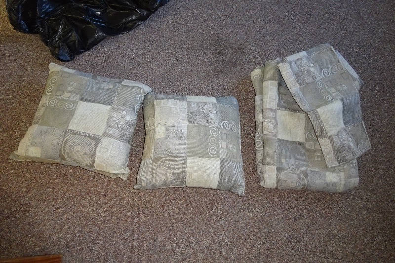 lot 39 image: Pillows, Cushion covers