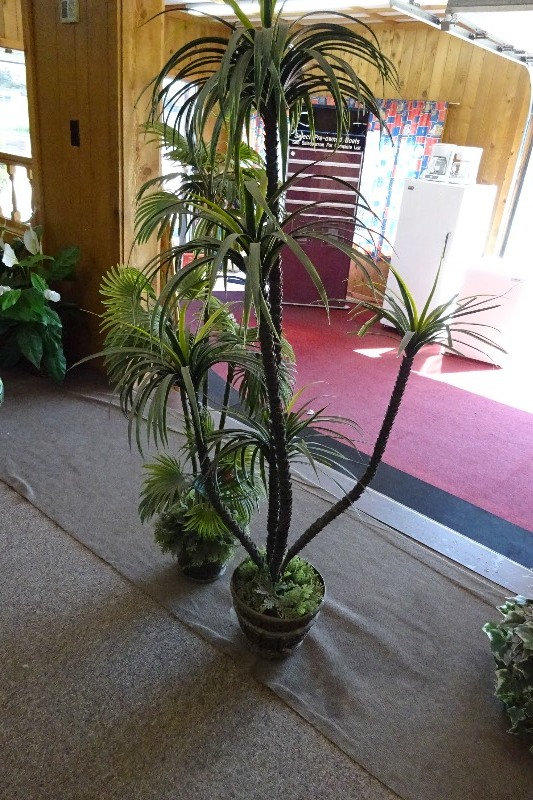 lot 182 image: 2 Tall Trees